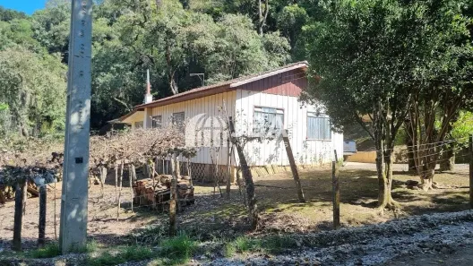 Fazenda/Sítio com 2 Quartos à venda, 50m² no Pacotuba, Almirante Tamandaré