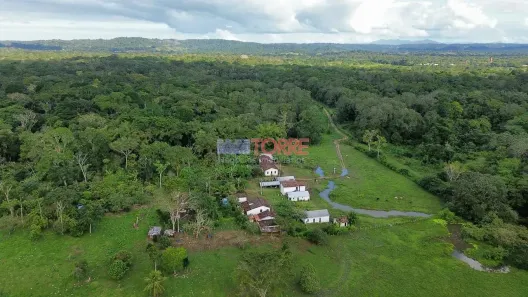 Fazenda/Sítio com 7 Quartos à venda, 575000m² no Centro, Ilhéus