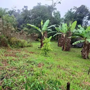 Fazenda/Sítio com 1 Quarto à venda, 7000m² no Vargem Grande, Águas Mornas