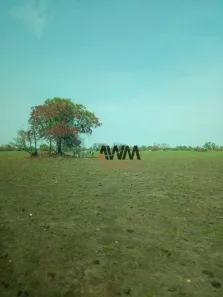 Fazenda/Sítio à venda, 72000000m² no , Alto Boa Vista