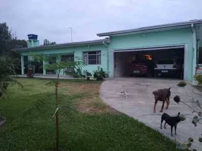 Fazenda/Sítio com 3 Quartos à venda, 250m² no Fiuza, Viamão
