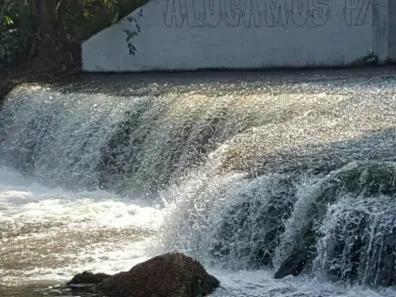 Fazenda/Sítio com 3 Quartos à venda, 64000m² no , Manaus
