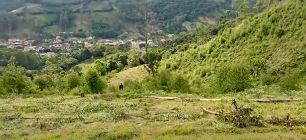 Lote/Terreno à venda, 1000m² no , Delfim Moreira