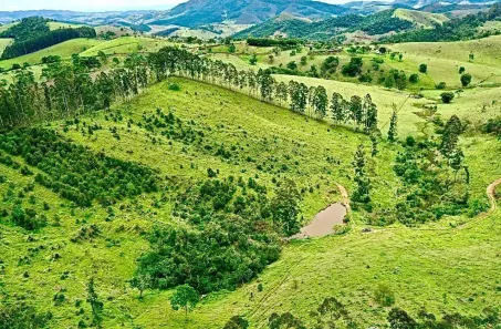 Fazenda/Sítio à venda, 242000m² no , São Luiz do Paraitinga