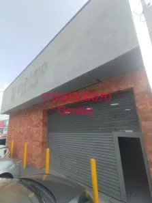 Galpão/Depósito/Armazém para alugar, 250m² no Jardim Bonfiglioli, São Paulo