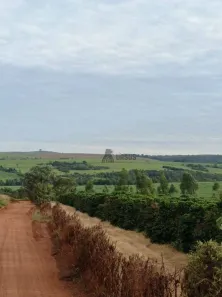 Fazenda/Sítio à venda, 10160000m² no Jardim Francano, Franca