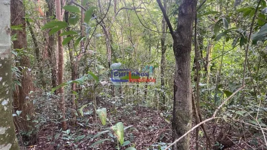 Lote/Terreno à venda, 570m² no Recreio do Lago, São Joaquim de Bicas