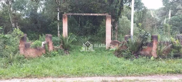 Lote/Terreno à venda, 6200m² no Vila Franca, Piraquara