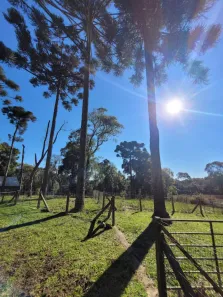 Lote/Terreno à venda, 3215m² no , Campo Alegre