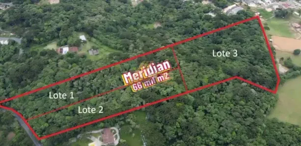 Fazenda/Sítio com 3 Quartos à venda, 66589m² no Vila Rivabem, Campo Largo