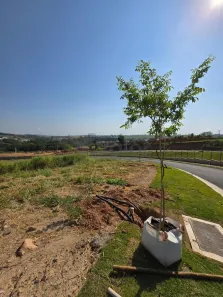Lote/Terreno à venda, 412m² no Bairro das Palmeiras, Campinas