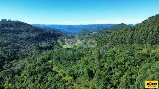 Fazenda/Sítio com 1 Quarto à venda, 5000m² no , Linha Nova