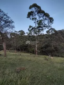 Lote/Terreno à venda, 10500m² no Alto Da Serra (Mailasqui), São Roque