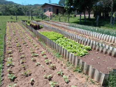 Fazenda/Sítio à venda, 70000m² no Morungava, Gravataí