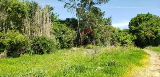 Lote/Terreno à venda, 18600m² no , Ibiúna