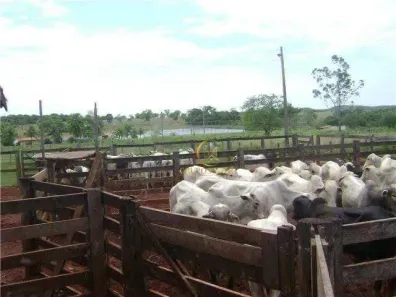Fazenda/Sítio com 6 Quartos à venda, 3000m² no , Mundo Novo