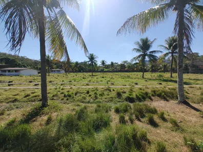 Lote/Terreno à venda, 12500m² no Bazílio, Rio Bonito