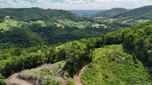 Fazenda/Sítio com 1 Quarto à venda, 32000m² no , Nova Petrópolis