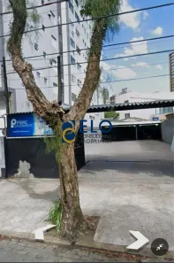 Lote/Terreno para alugar, 305m² no Gonzaga, Santos