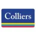 Miniatura da foto de Colliers International