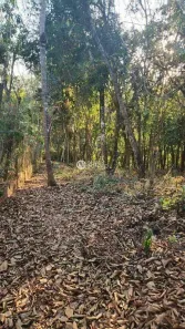 Lote/Terreno à venda, 934m² no Veredas das Geraes, Nova Lima
