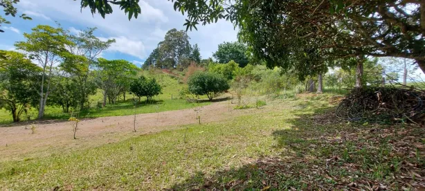 Lote/Terreno à venda, 23600m² no Centro, Santa Branca