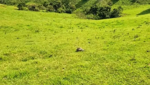 Lote/Terreno à venda, 100m² no Camanducaia, Camanducaia