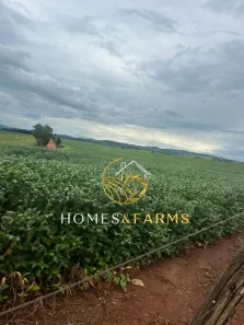 Fazenda/Sítio com 3 Quartos à venda, 53m² no , Edealina
