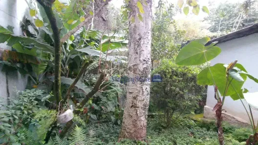 Casa com 6 Quartos à venda, 274m² no Sumaré, São Paulo