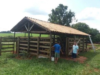 Fazenda/Sítio com 2 Quartos à venda, 20000m² no , Arealva