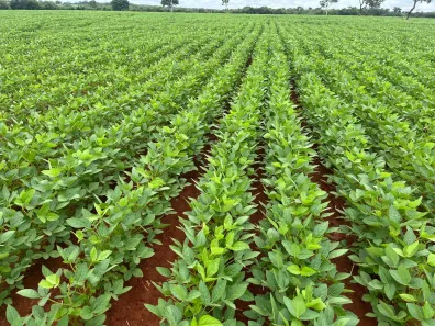 Fazenda/Sítio à venda, 7260000m² no , Araguaçu