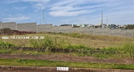 Lote/Terreno à venda, 264m² no Brasília, Londrina