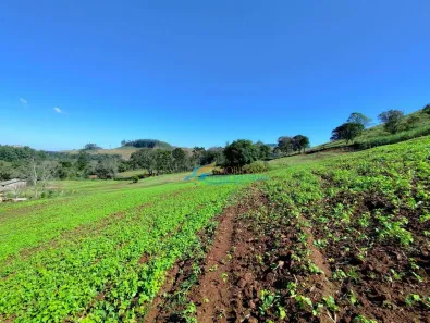 Fazenda/Sítio com 5 Quartos à venda, 140360m² no , Guaraniaçu