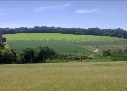 Lote/Terreno à venda, 72000m² no , Tuiuti