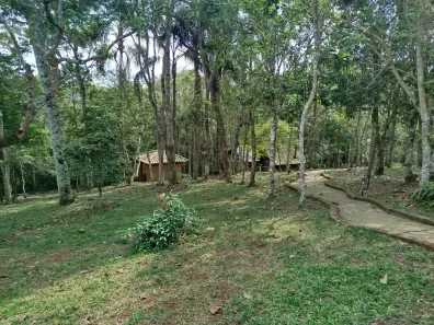 Fazenda/Sítio com 1 Quarto à venda, 17000m² no , Santo Antônio do Pinhal