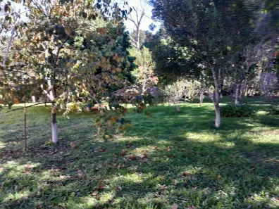 Fazenda/Sítio com 4 Quartos à venda, 1000m² no Centro, Mairinque