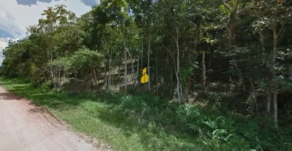 Lote/Terreno à venda, 23257m² no Das Nações, Timbó
