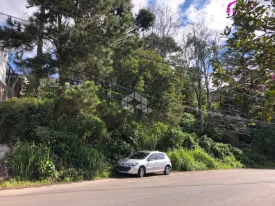 Lote/Terreno à venda, 1101m² no Salgado Filho, Caxias do Sul