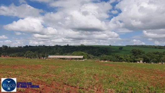 Fazenda/Sítio com 3 Quartos à venda, 19m² no Área Rural de Anápolis, Anápolis