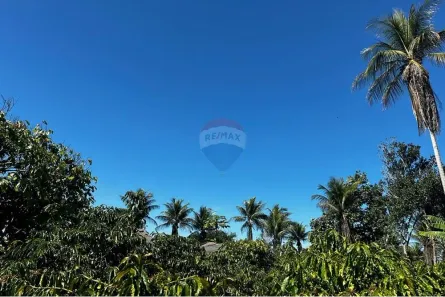 Fazenda/Sítio com 2 Quartos à venda, 24000m² no , Itamaraju