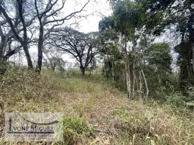 Lote/Terreno à venda, 10000m² no Arcozelo, Paty do Alferes