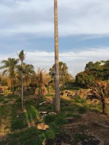 Lote/Terreno à venda, 1590m² no Chácara Long Island, Jaguariúna