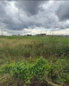 Lote/Terreno à venda, 255m² no Parque das Oliveiras II, Ribeirão Preto
