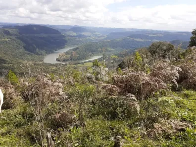 Fazenda/Sítio à venda, 70000m² no São Valentin, Bento Gonçalves