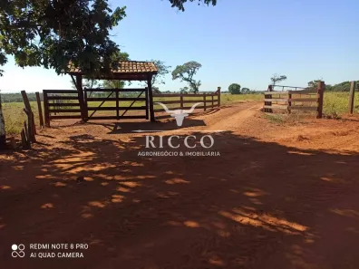 Fazenda/Sítio com 2 Quartos à venda, 242m² no Setor Central, Jaupaci
