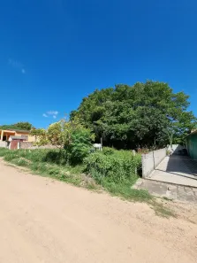 Lote/Terreno à venda, 240m² no Centro, Capão do Leão