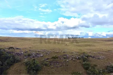Lote/Terreno à venda, 29000m² no , Jaquirana