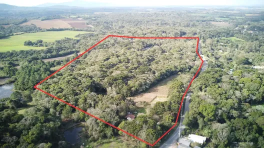 Fazenda/Sítio à venda, 72600m² no Campo Largo da Roseira, São José dos Pinhais