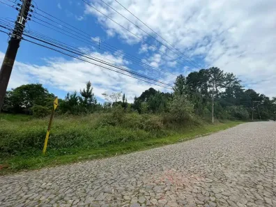 Lote/Terreno à venda, 1m² no Paisagem Renoir, Cotia