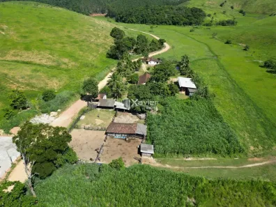 Fazenda/Sítio com 5 Quartos à venda, 1645600m² no , Presidente Kennedy